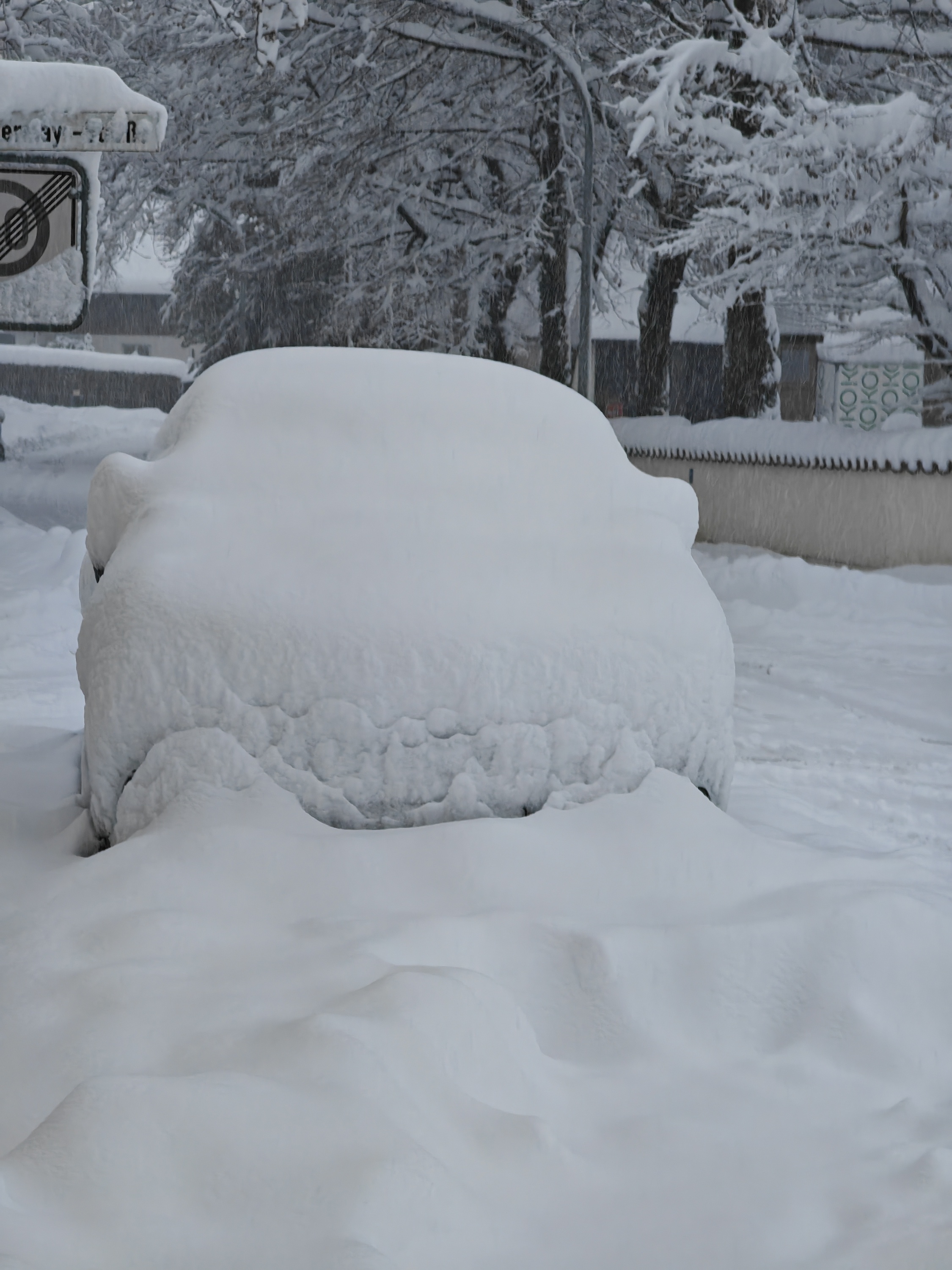 Megane E-Tech im Schnee